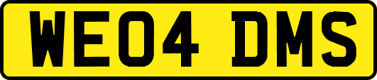 WE04DMS