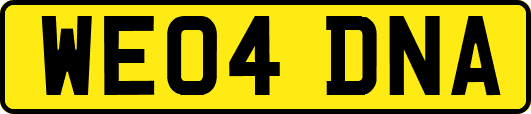 WE04DNA