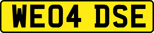 WE04DSE