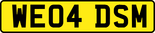 WE04DSM