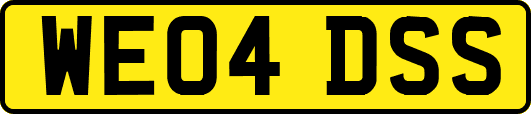 WE04DSS
