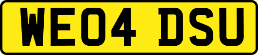 WE04DSU