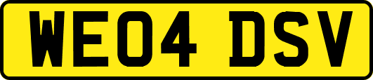 WE04DSV