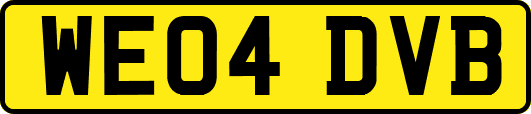 WE04DVB