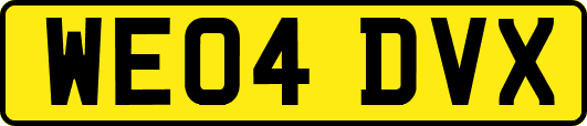 WE04DVX