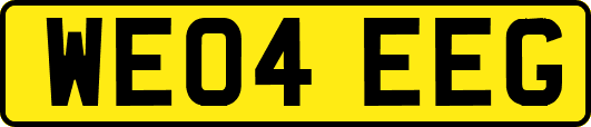WE04EEG