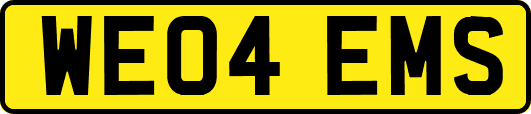 WE04EMS