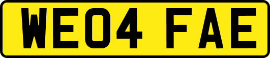 WE04FAE