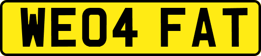 WE04FAT