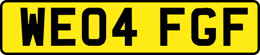 WE04FGF
