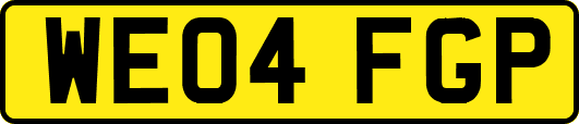 WE04FGP