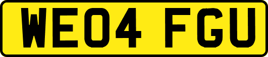 WE04FGU