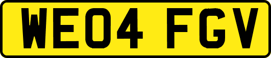 WE04FGV