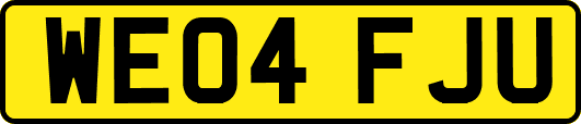 WE04FJU