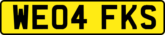 WE04FKS