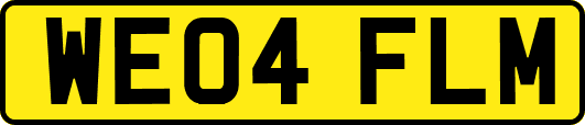WE04FLM