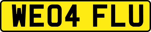WE04FLU
