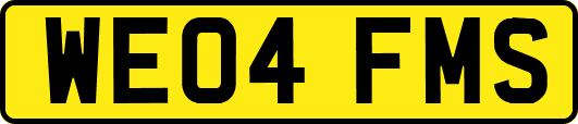 WE04FMS