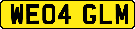 WE04GLM