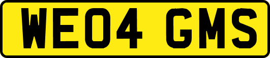 WE04GMS