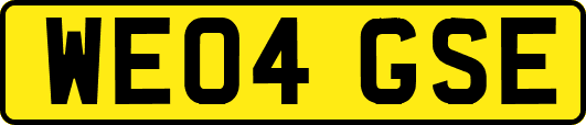 WE04GSE
