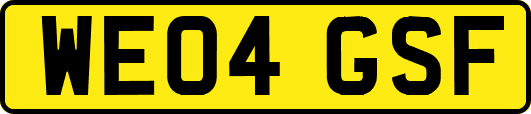 WE04GSF
