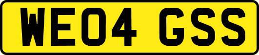 WE04GSS