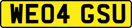 WE04GSU
