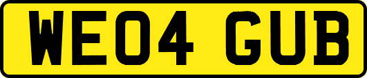 WE04GUB