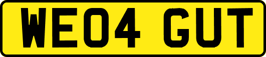 WE04GUT
