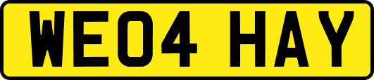 WE04HAY