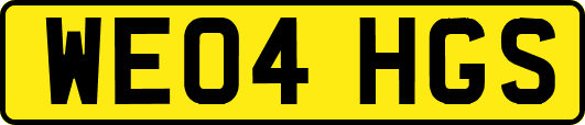 WE04HGS
