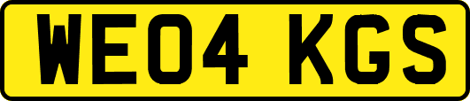 WE04KGS