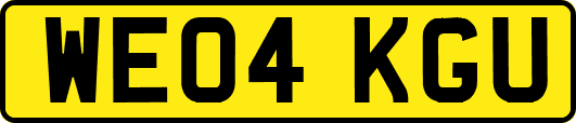 WE04KGU