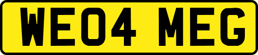 WE04MEG