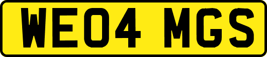 WE04MGS
