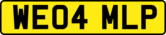 WE04MLP