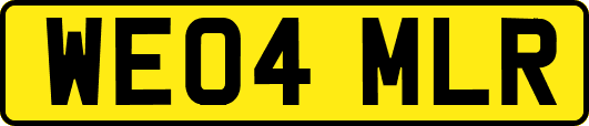 WE04MLR
