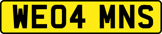 WE04MNS