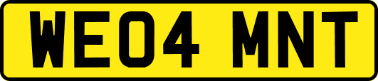 WE04MNT