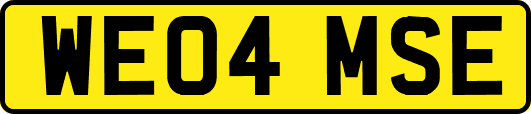 WE04MSE