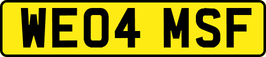 WE04MSF