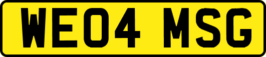 WE04MSG