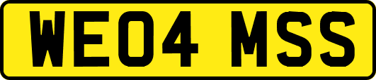 WE04MSS