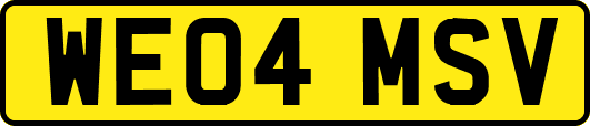 WE04MSV