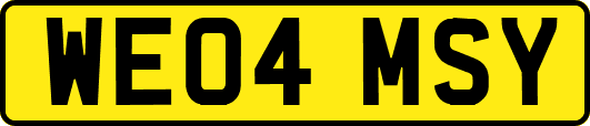 WE04MSY