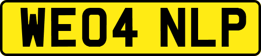 WE04NLP