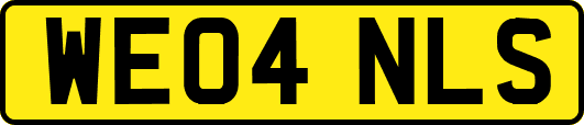 WE04NLS
