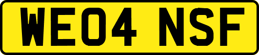 WE04NSF