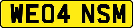 WE04NSM